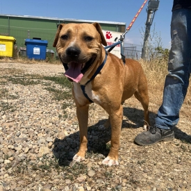 Max